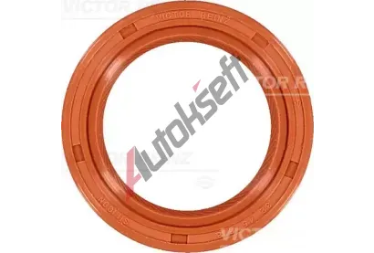 REINZ Tsnc krouek hdele - klikov hdel VR 81-38343-00, 81-38343-00