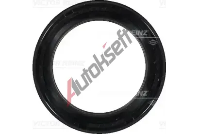 REINZ Tsnc krouek hdele - vakov hdel VR 81-39633-00, 81-39633-00