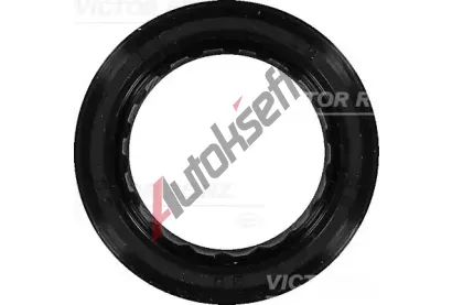 REINZ Tsnic krouek klikovho hdele VR 81-40389-00, 81-40389-00