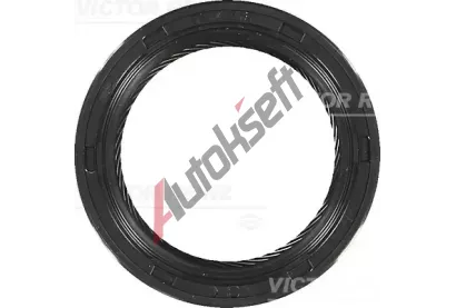REINZ Tsnc krouek hdele - klikov hdel VR 81-53252-00, 81-53252-00
