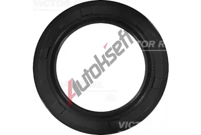 REINZ Tsnc krouek hdele - klikov hdel VR 81-53286-00, 81-53286-00