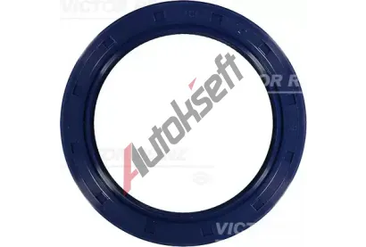REINZ Tsnc krouek hdele - klikov hdel VR 81-53306-00, 81-53306-00