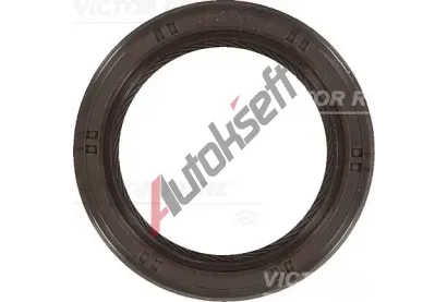 REINZ Tsnc krouek hdele - vakov hdel VR 81-53467-00, 81-53467-00