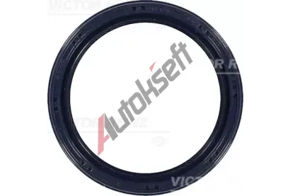 REINZ Tsnc krouek hdele - klikov hdel VR 81-53661-00, 81-53661-00