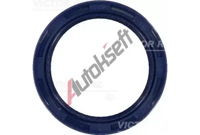 REINZ Tsnic krouek klikovho hdele VR 81-53764-00, 81-53764-00