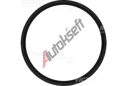 REINZ Tsnc krouek hdele - klikov hdel VR 81-54109-00, 81-54109-00