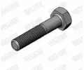 �roub v�fukov�ho syst�mu&nbsp;WALKER&nbsp;&dash;&nbsp;WA 81853