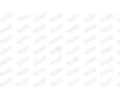 WALKER Šroub - výfukový systém WA 83181, 83181