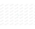 WALKER Šroub - výfukový systém WA 83181, 83181