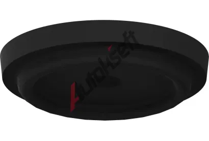 WABCO T�snic� / ochrann� z�tka WBC 8971806202, 8971806202