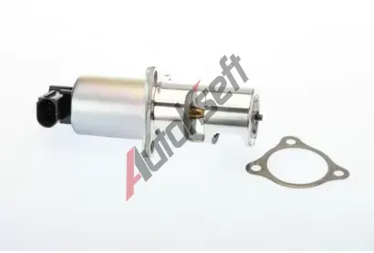 WAHLER AGR ventil BW Original WH 710725D/1, 710725D/1
