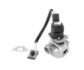 AGR ventil WAHLER ‐ WH 710936R