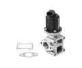 AGR ventil WAHLER ‐ WH 710954R