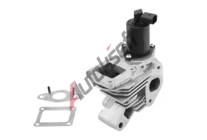 WAHLER AGR ventil WH 710959R, 710959R