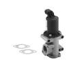 AGR ventil WAHLER ‐ WH 710960R