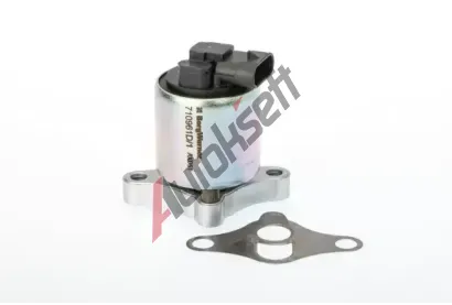 WAHLER AGR ventil WH 710961D/1, 710961D/1
