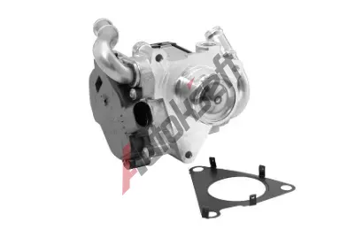WAHLER AGR ventil WH 72147559D, 72147559D