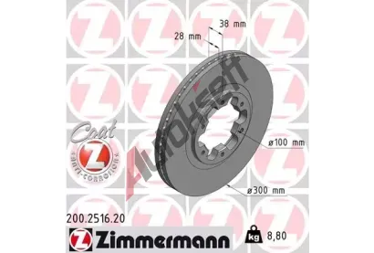 ZIMMERMANN Brzdov kotou COAT Z - 300 mm ZIM 200.2516.20, 200.2516.20