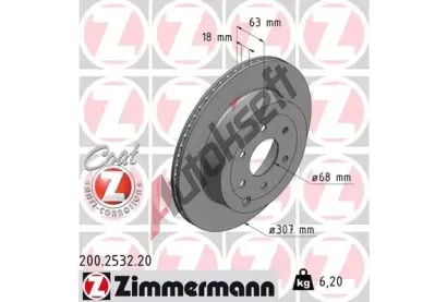 ZIMMERMANN Brzdov kotou COAT Z - 307 mm ZIM 200.2532.20, 200.2532.20