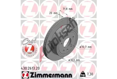 ZIMMERMANN Brzdov kotou COAT Z - 303 mm ZIM 430.2613.20, 430.2613.20