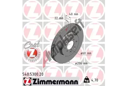 ZIMMERMANN Brzdov kotou COAT Z - 256 mm ZIM 540.5300.20, 540.5300.20