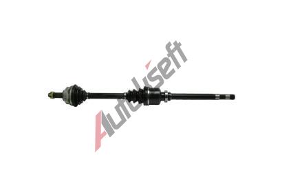 Starline P poloosa 16.28.610, T29084