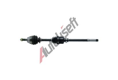 Starline P poloosa 34.12.612, T39028