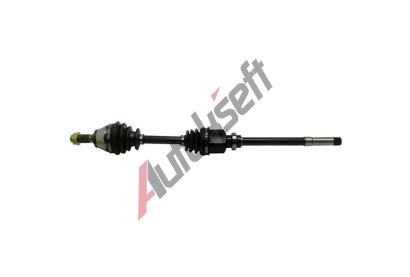 Starline P poloosa 34.16.612, T39034 Starline P poloosa 34.16.612, T39034