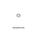 Starline eln sklo - zelen - modr pruh ASXX 8541AGNBLZ, 1H0845011A