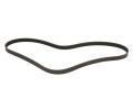 Starline Drkov emen ‐ SR 5PK1200
