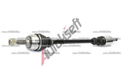 Starline P poloosa 16.11.614, 170493