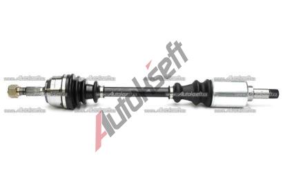 Starline L poloosa 16.11.615, 170492