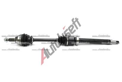 Starline P poloosa 20.46.610, 8592808248767  Starline P poloosa 20.46.610, 8592808248767