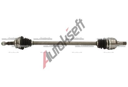 Starline poloosa 32.20.620, 8592808274186 Starline poloosa 32.20.620, 8592808274186