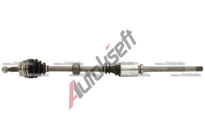 Starline poloosa 32.54.614, 8592808274209  Starline poloosa 32.54.614, 8592808274209