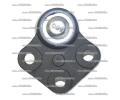 Starline P ep spodnho ramena 36.59.710, 8054682174209