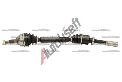 Starline P poloosa 36.71.610, 8592808249801