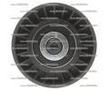 Starline vodc kladka drkovho emene RS B39810, 11287780124
