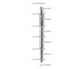 havic svka Starline ‐ SS 10171