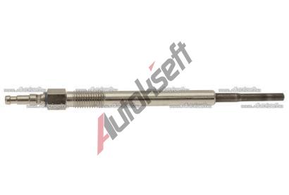 Starline havic svka SS 10244, N10579805