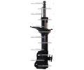 Starline P/L tlumi provn, plyno-kapal. pedn ‐ TL C00160.2