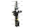 Tlumi provn Starline ‐ TL D27341/2