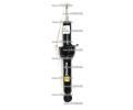 Tlumi provn Starline ‐ TL D56700.2