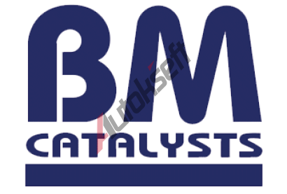 BM CATALYSTS Vfukov trubka BMC BM50868, BM50868