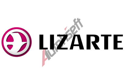 LIZARTE ��dic� mechanismus LI 02.81.1000, 02.81.1000